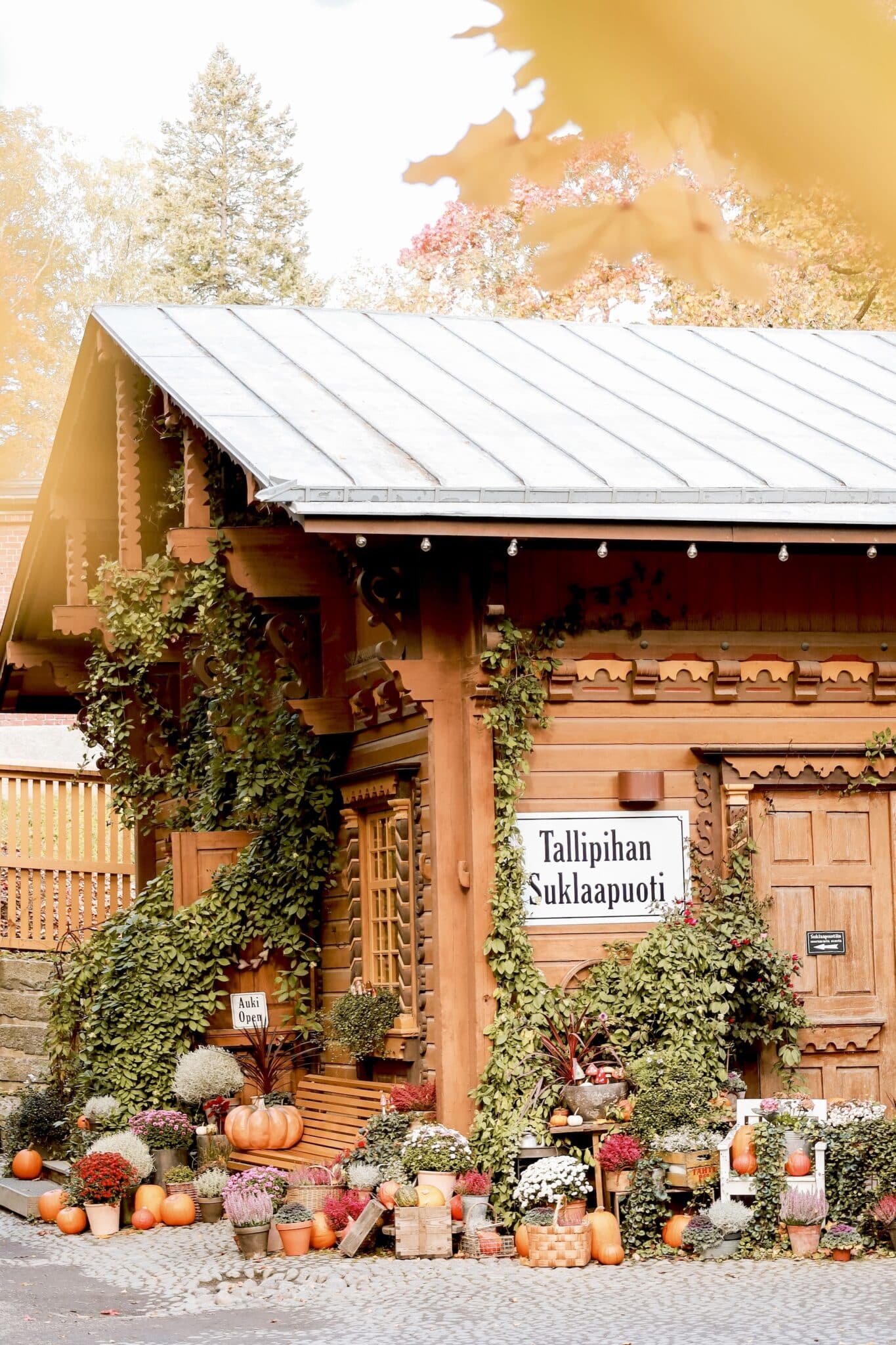 Tallipihan suklaapuoti syksyllä