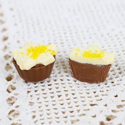 Kevätesikko konvehti