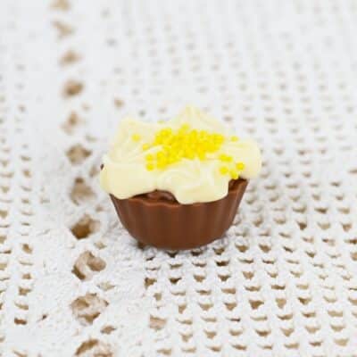 Kevätesikko konvehti kokonainen