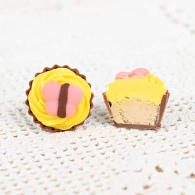 Perhonen sitruunakonvehti