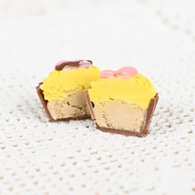 Perhonen sitruunakonvehti